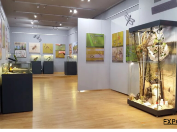 Modulare Museumsausstellungswände mit Aufhängesystem, ergänzt durch Vitrinen mit geklebtem Glas ohne störende Profile