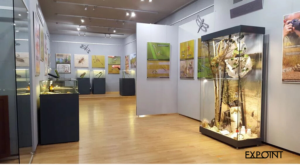 Modulare Museumsausstellungswände mit Aufhängesystem, ergänzt durch Vitrinen mit geklebtem Glas ohne störende Profile