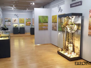 Naturausstellung mit verschiedenen Arten von Vitrinen und Ausstellungstafeln