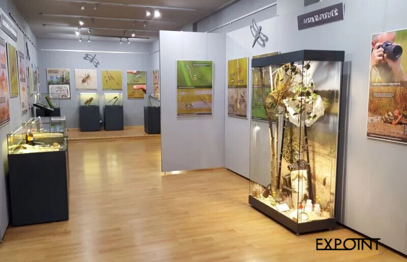 Naturausstellung mit verschiedenen Arten von Vitrinen und Ausstellungstafeln